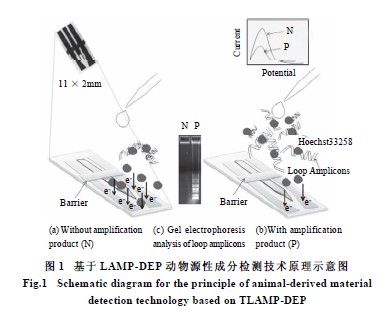 ��(d��ng)��Դ�Գɷ��������