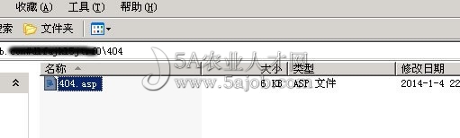 域名遭泛解析404設(shè)置