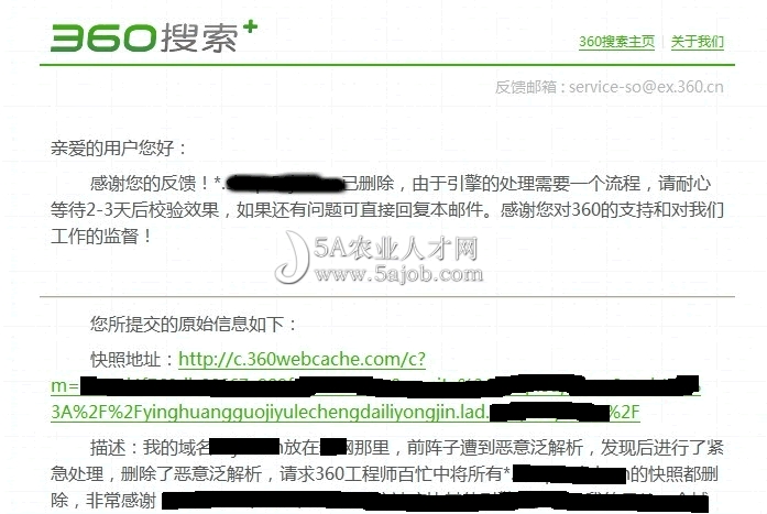 域名遭泛解析360處理方法