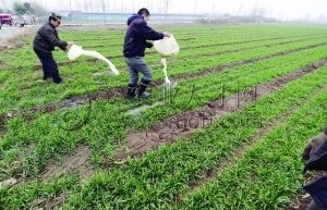 ���r����