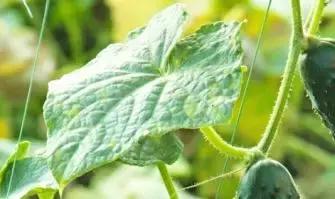 �S���ģ����й������H�L180000ö�S���~Ƭ���K���ƽ��S�Ͽ�ζ�i�}��