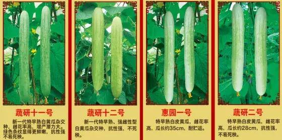 �S���ģ����й������H�L180000ö�S���~Ƭ���K���ƽ��S�Ͽ�ζ�i�}��