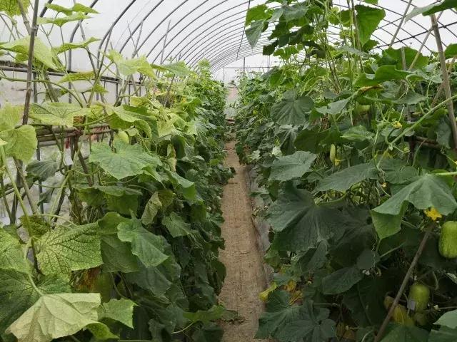 �S���ģ����й������H�L180000ö�S���~Ƭ���K���ƽ��S�Ͽ�ζ�i�}��