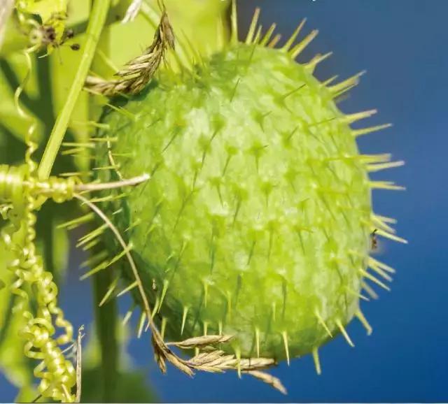 �S���ģ����й������H�L180000ö�S���~Ƭ���K���ƽ��S�Ͽ�ζ�i�}��