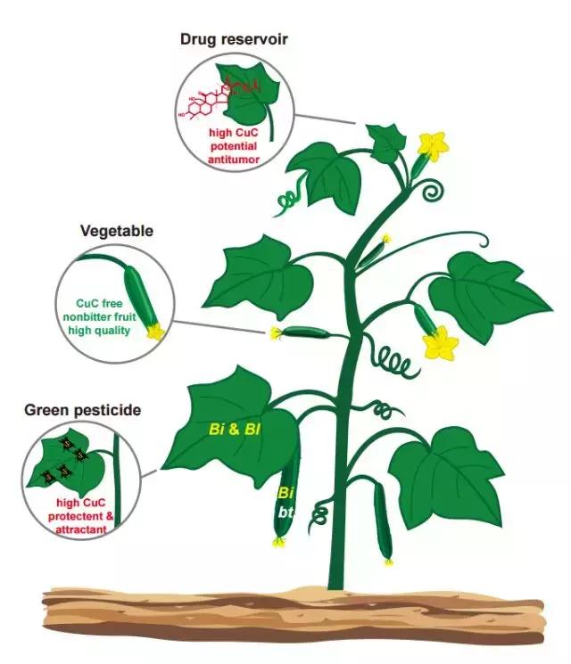 �S���ģ����й������H�L180000ö�S���~Ƭ���K���ƽ��S�Ͽ�ζ�i�}��